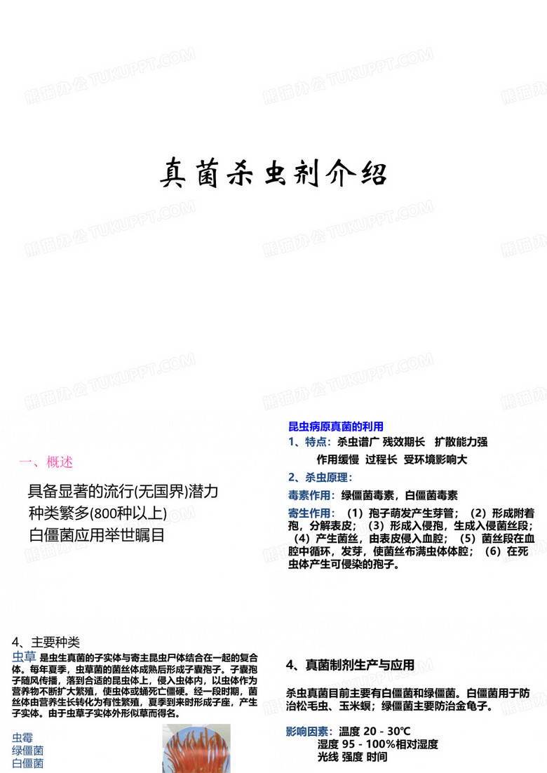 真菌杀虫剂介绍
