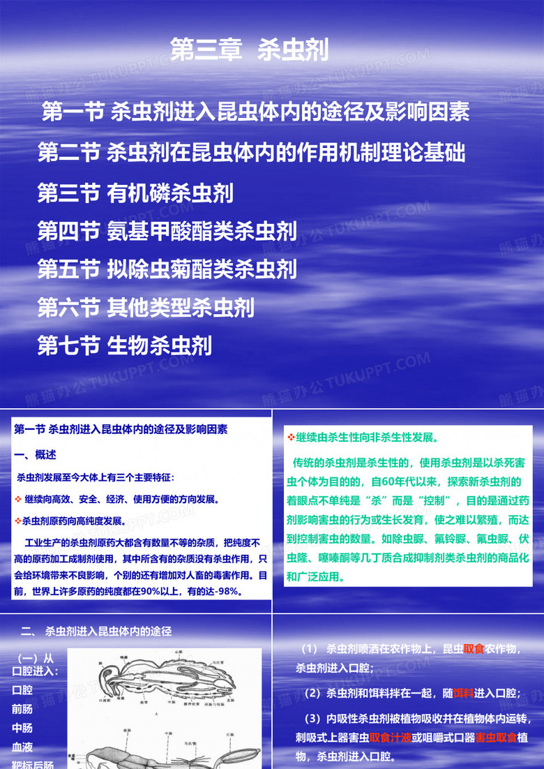 第三章杀虫剂