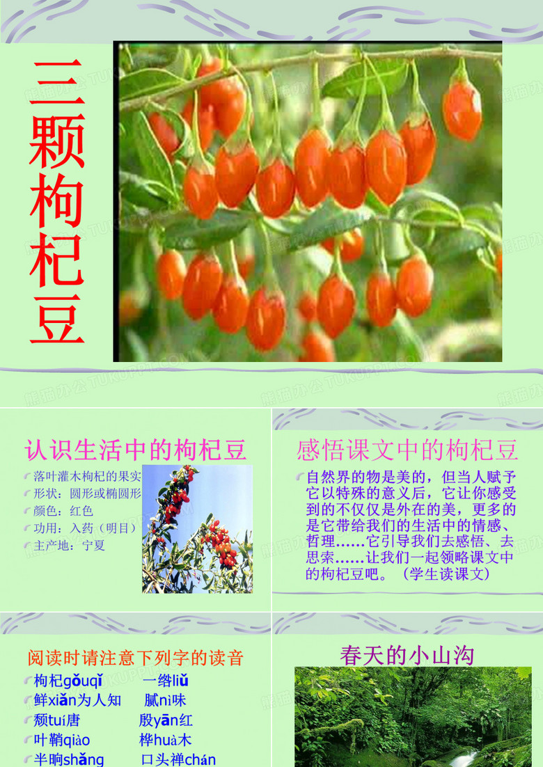 三颗枸杞豆