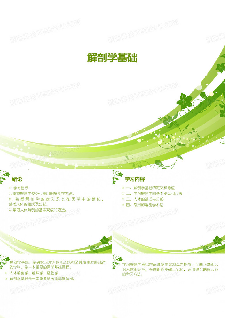 解剖学基础绪论