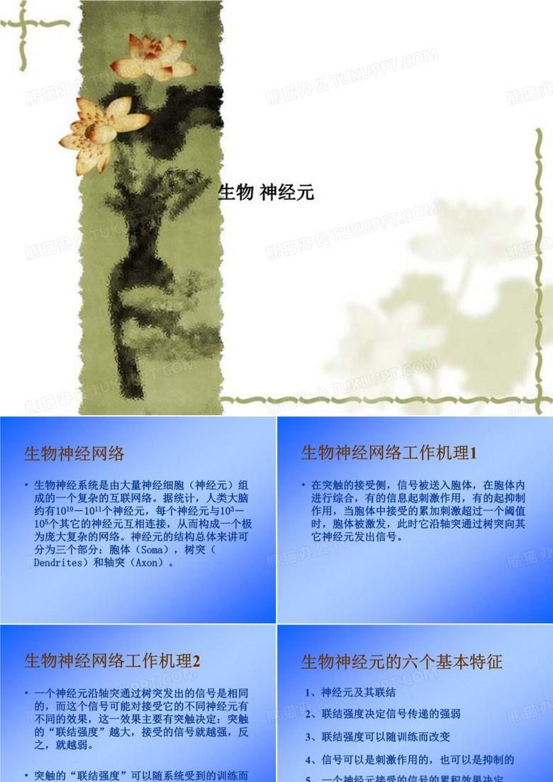 生物 神经元