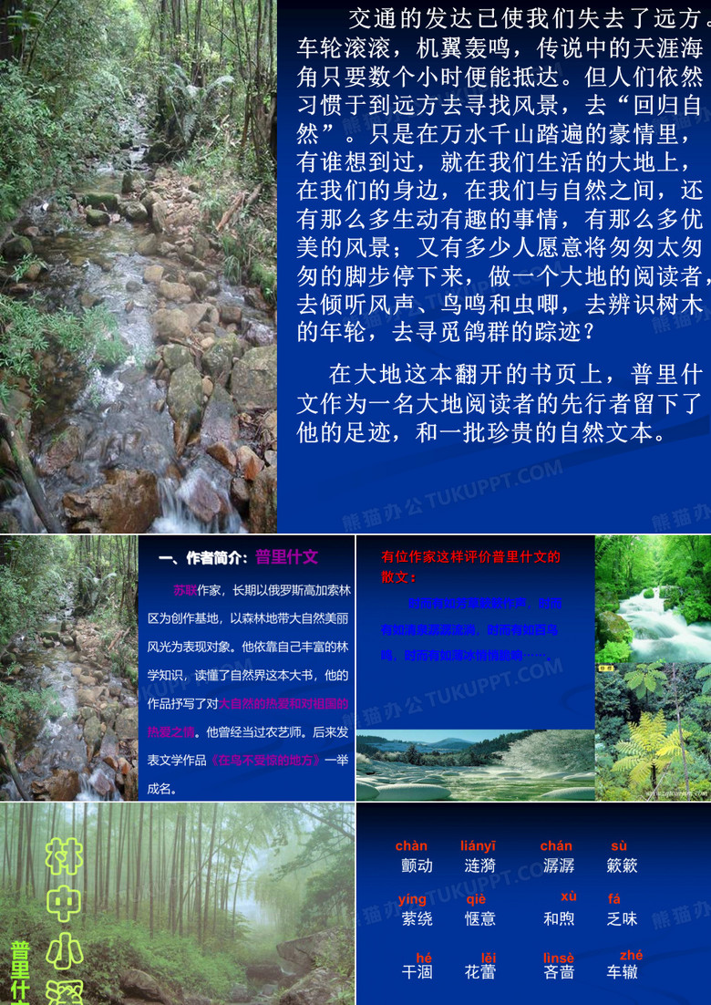 九年级语文林中小溪