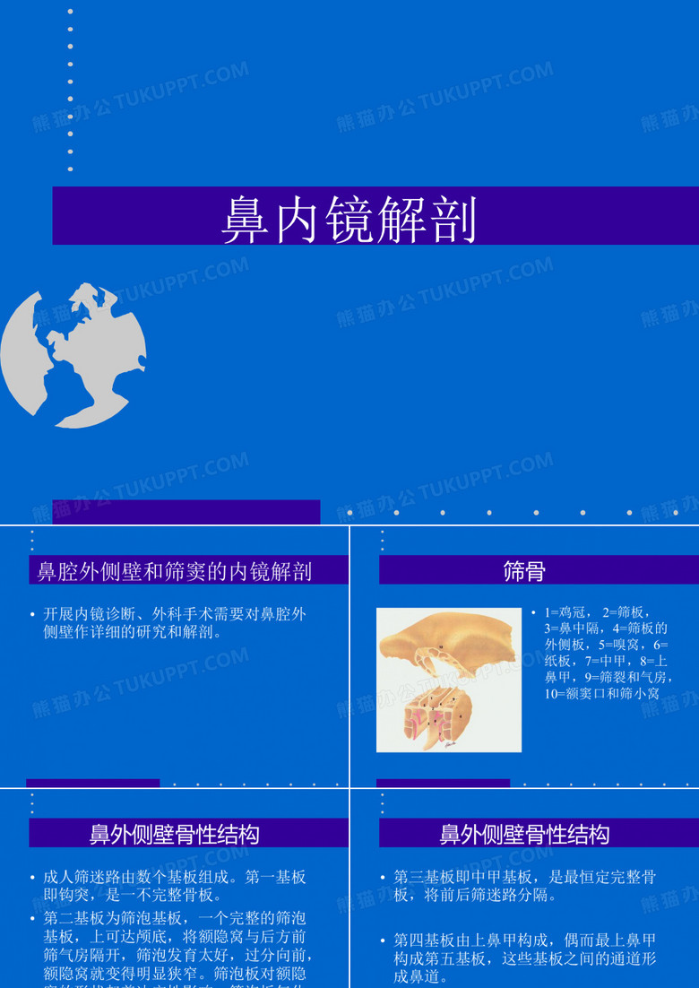 鼻内镜解剖课件