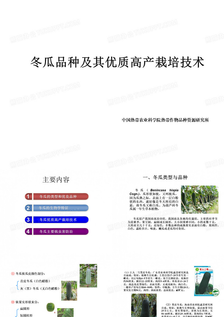 冬瓜的栽培技术