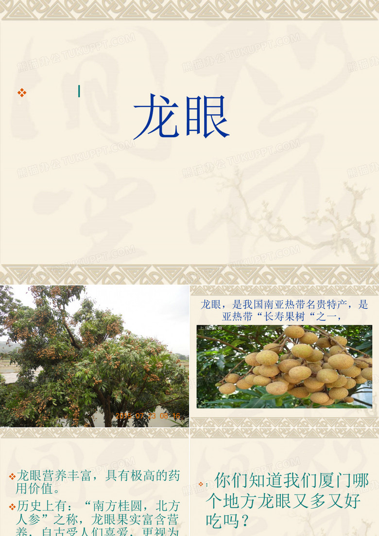 龙眼