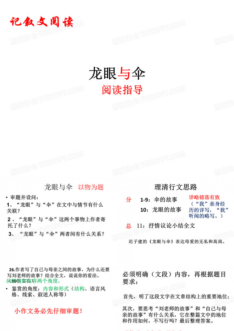 龙眼与伞
