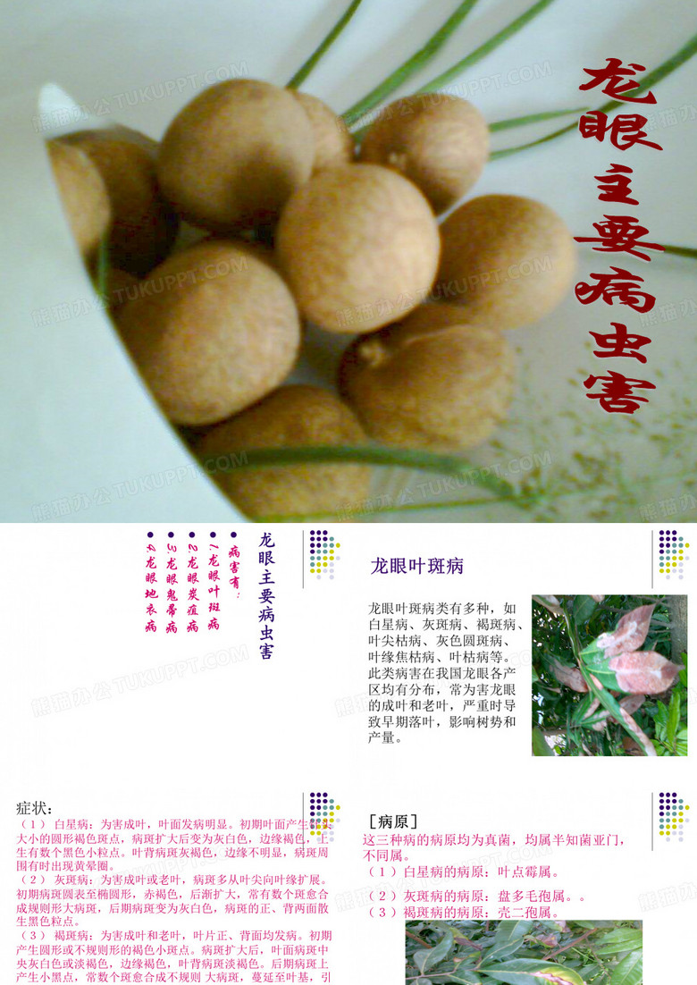 龙眼主要病害