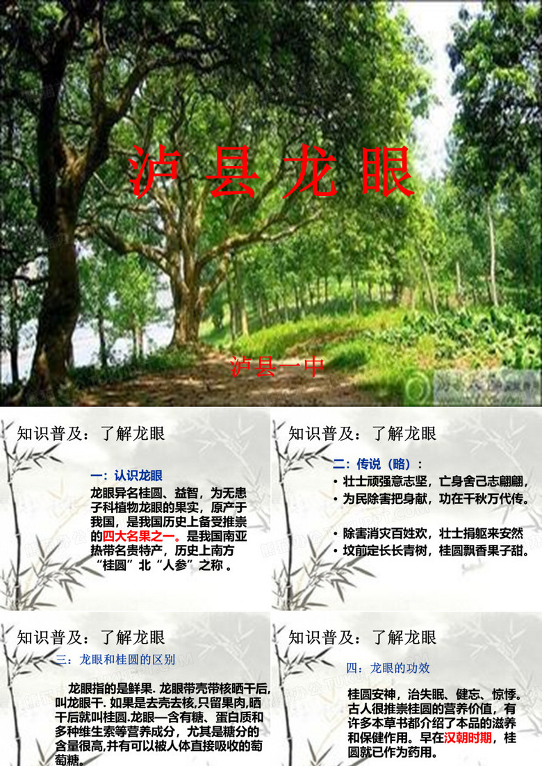 泸州土特产桂圆(龙眼)PPT课件
