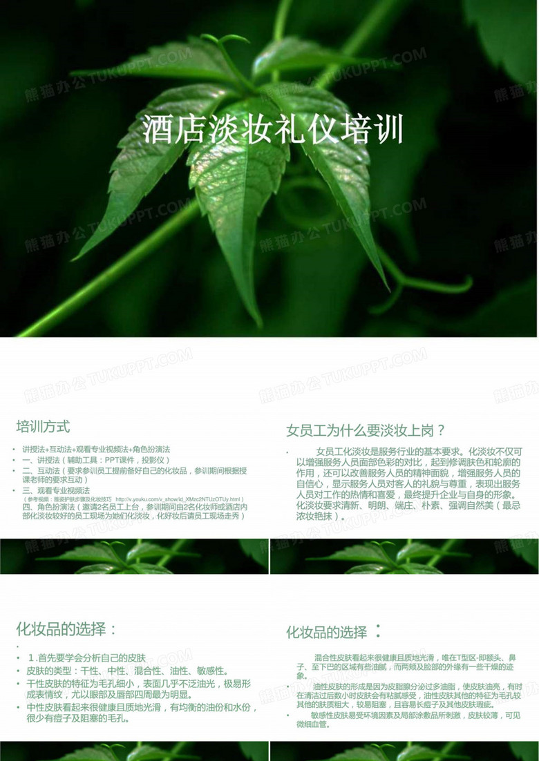 星级酒店淡妆礼仪培训.ppt