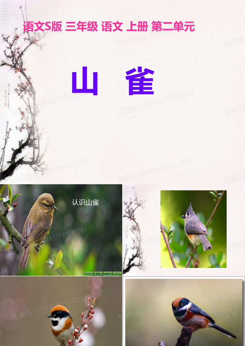 山雀