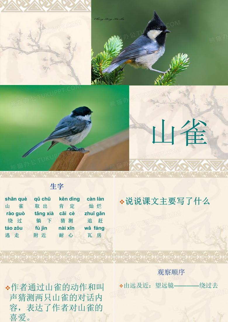 山雀