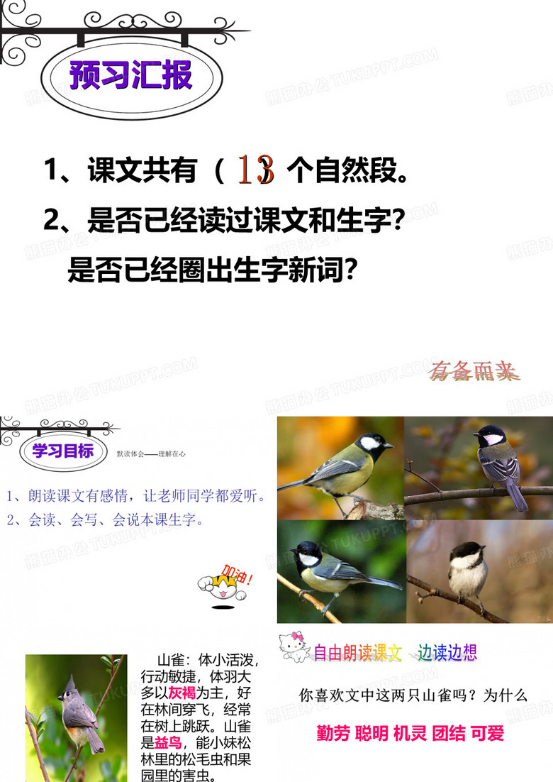 《山雀》课件