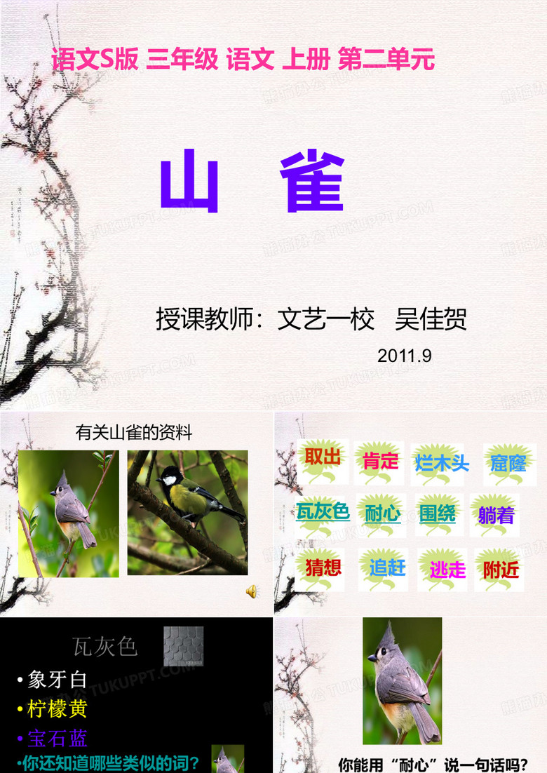 《山雀》课件