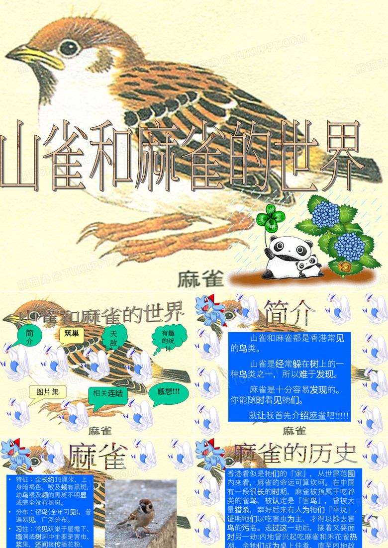 山雀和麻雀的世界