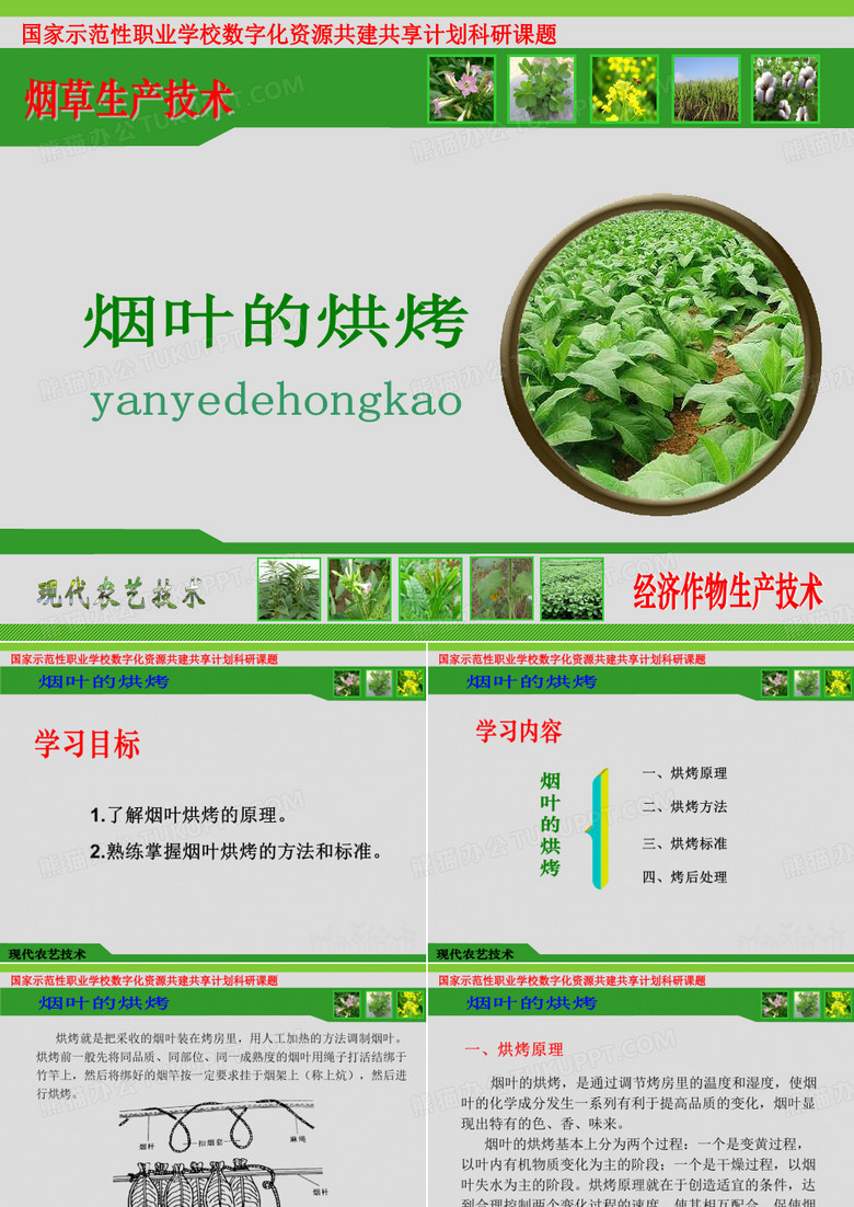 烟叶的烘烤