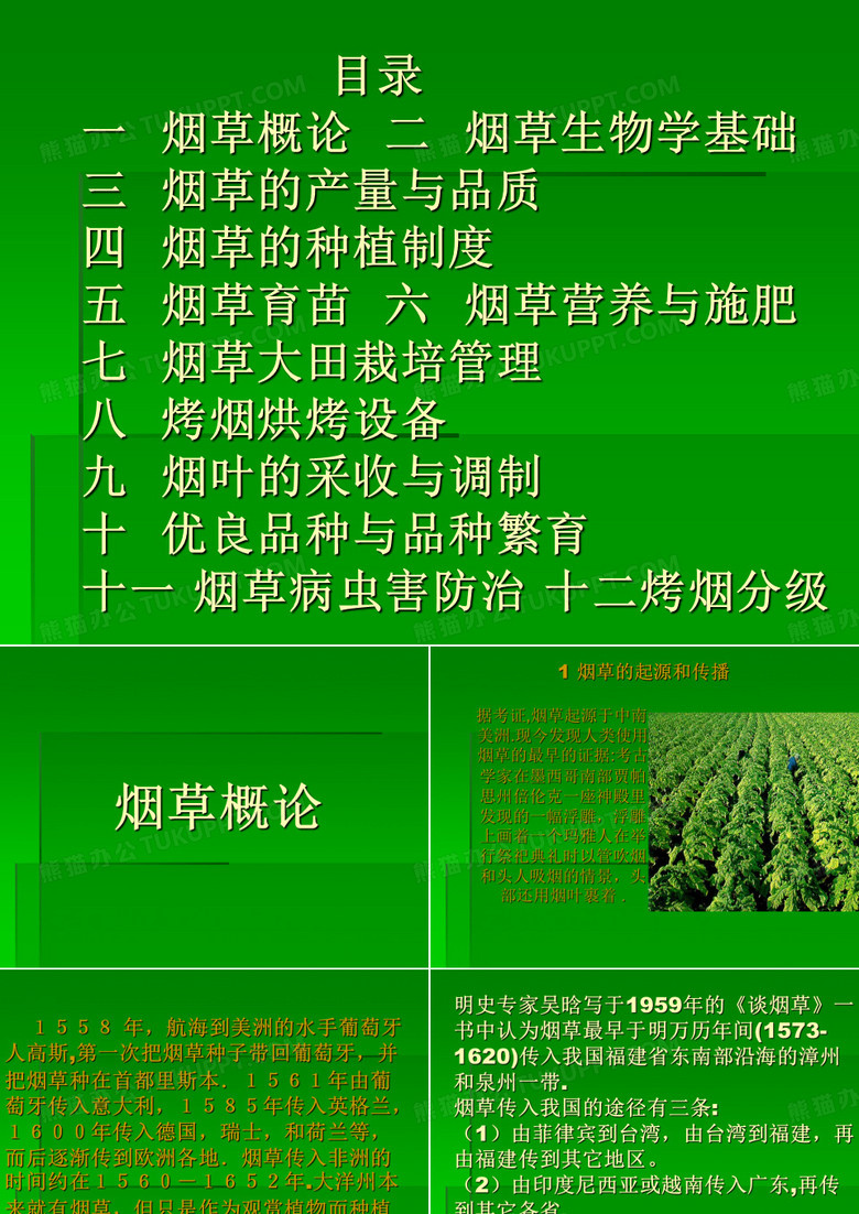 烟草烟叶常识