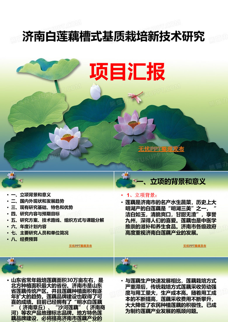 莲藕槽式栽培