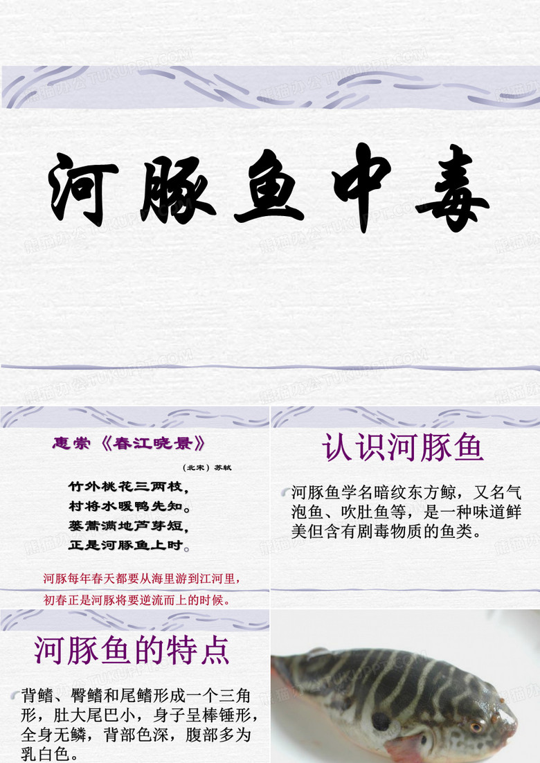 河豚鱼中毒PPT课件