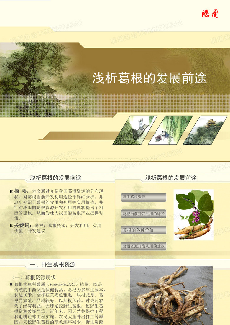 葛根