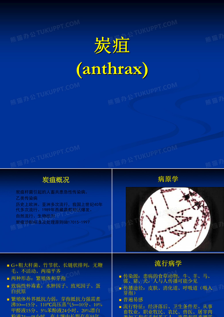 炭疽 PPT课件
