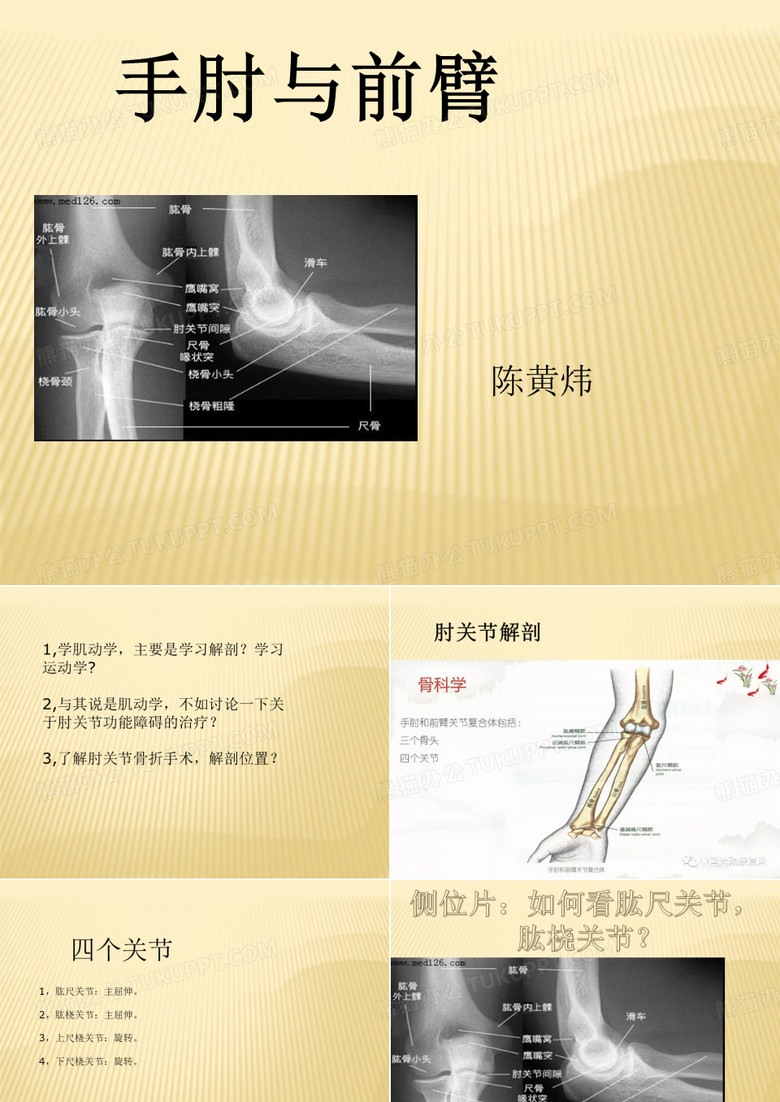 肘关节肌动学