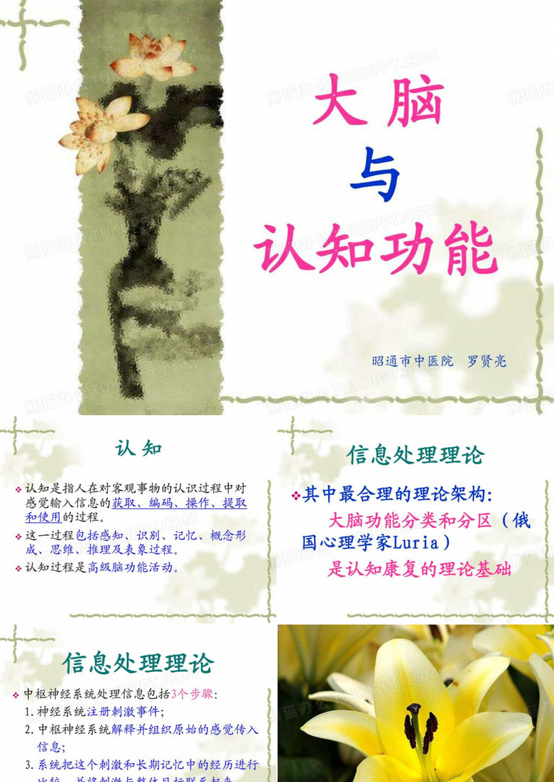 脑与认知功能