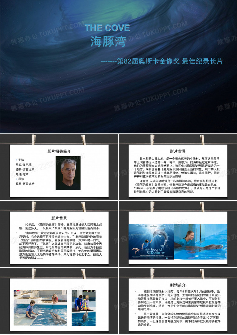 选修课PPT 海豚湾2