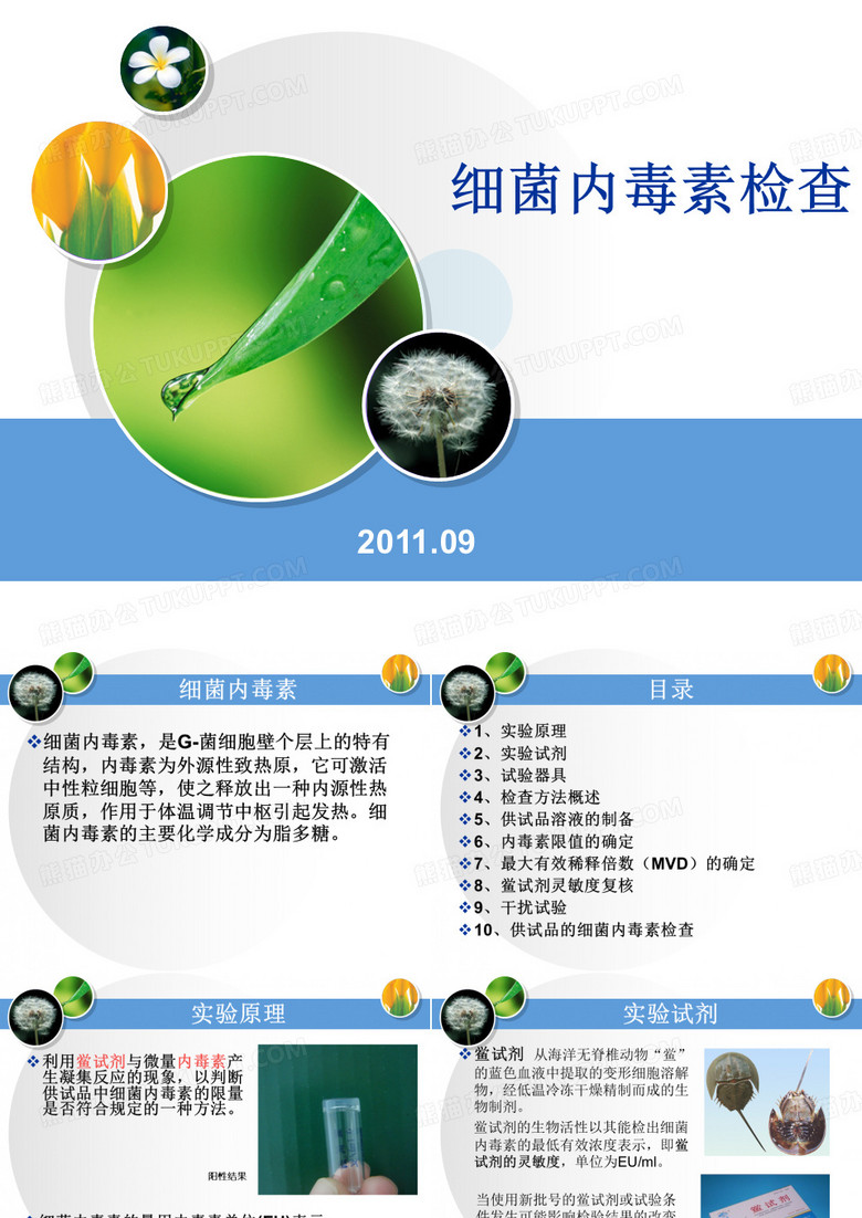 细菌内毒素检查