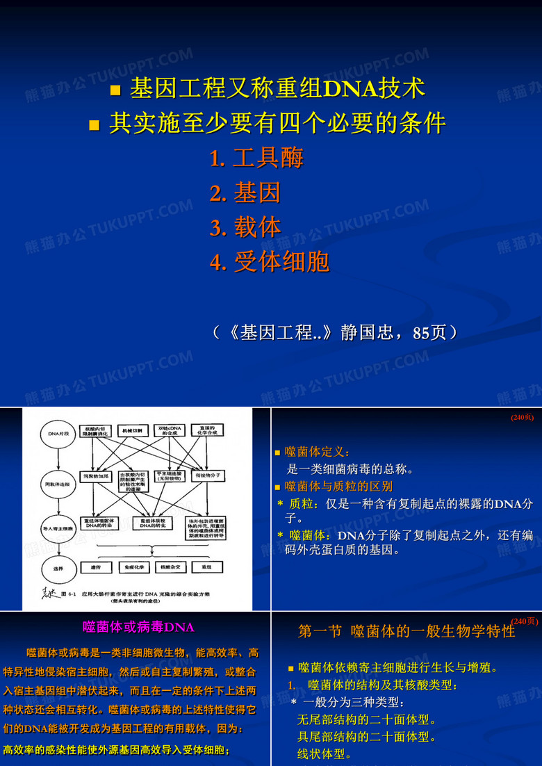 噬菌体载体