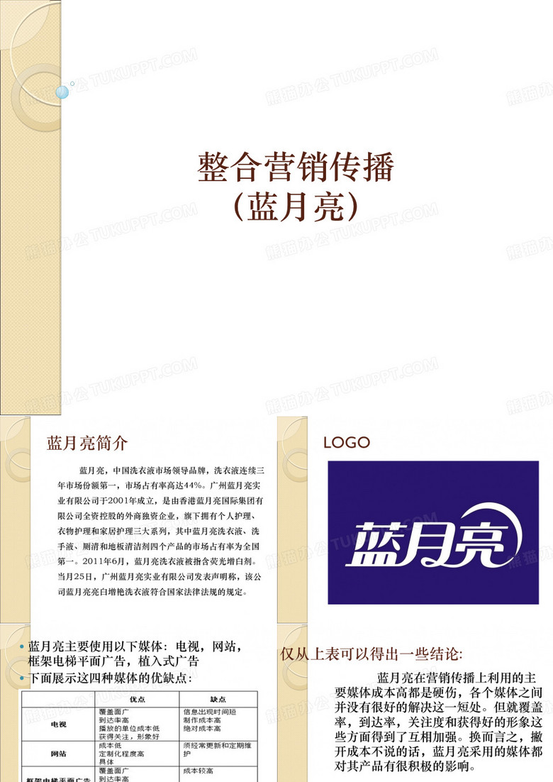 蓝月亮营销组合