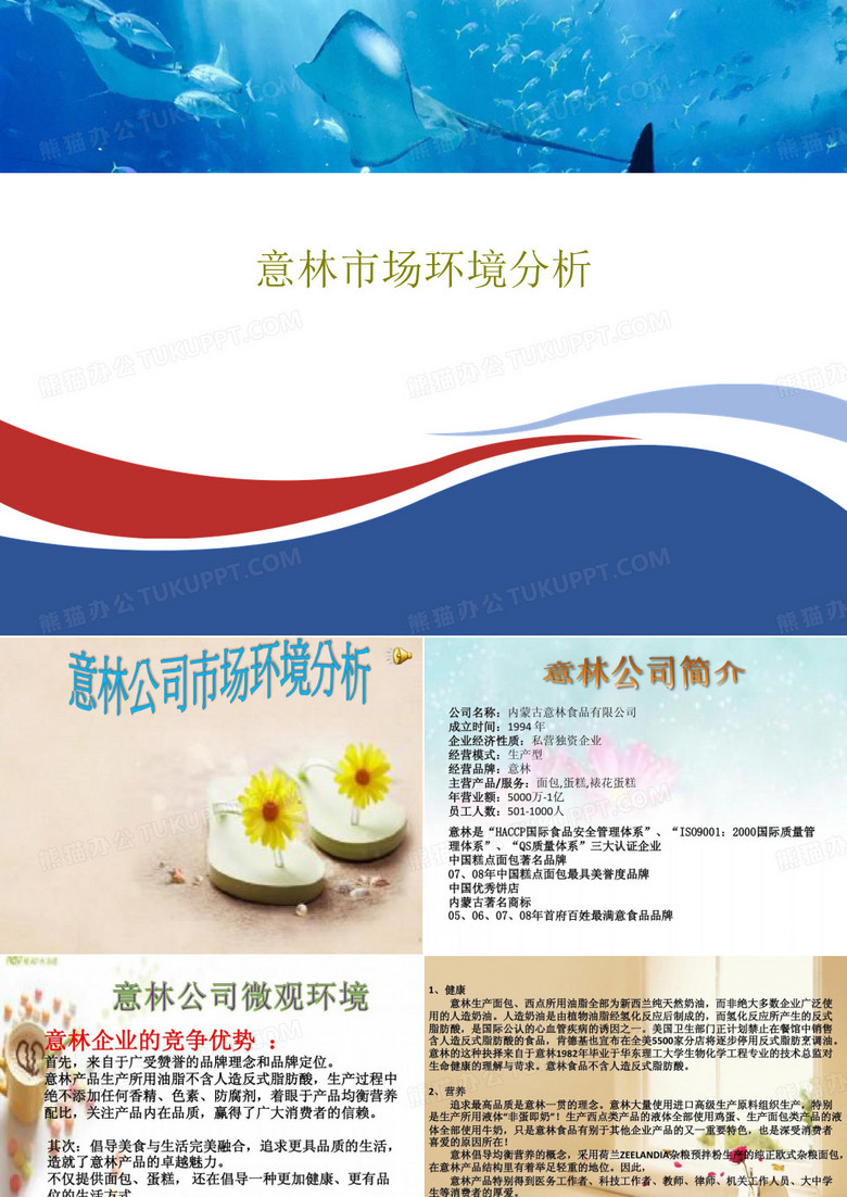 意林市场环境分析17页PPT