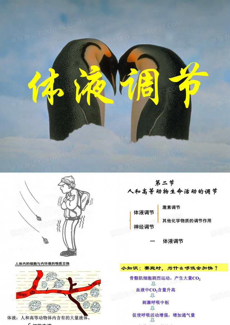 体液调节