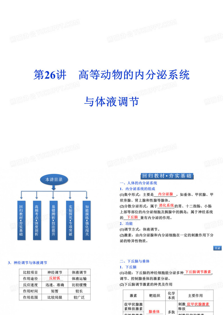 体液调节.ppt