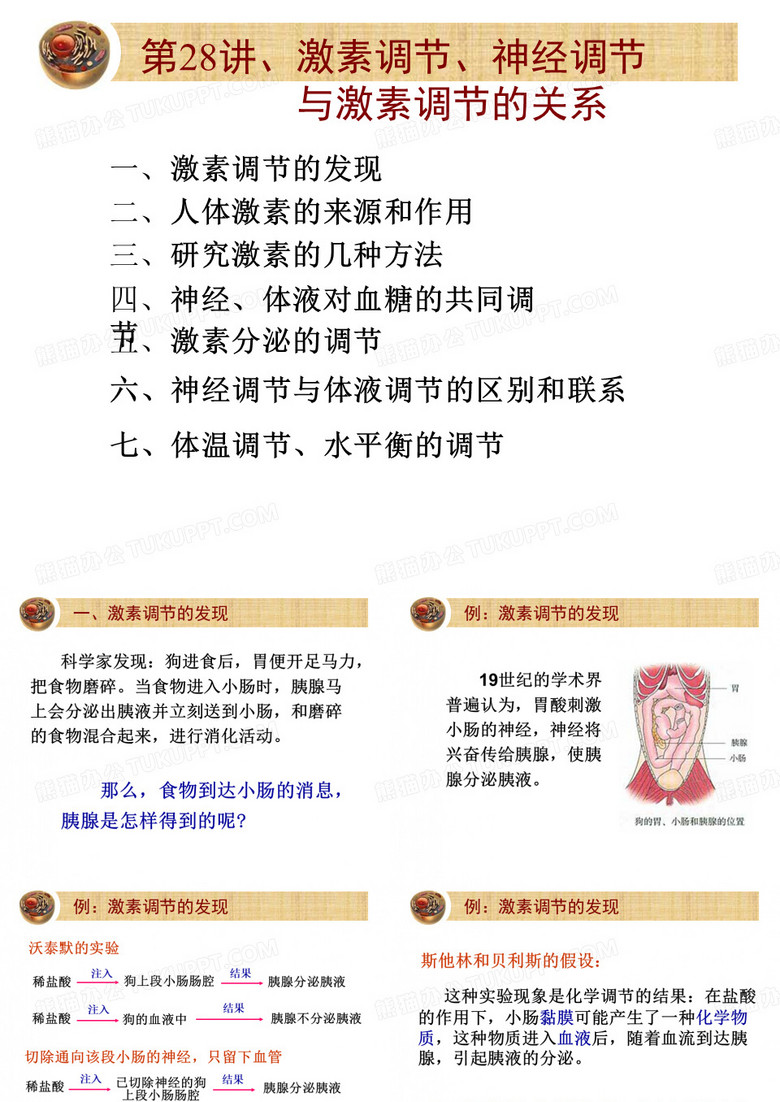 体液调节_复习.