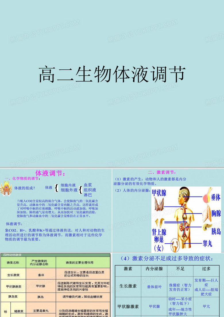高二生物体液调节