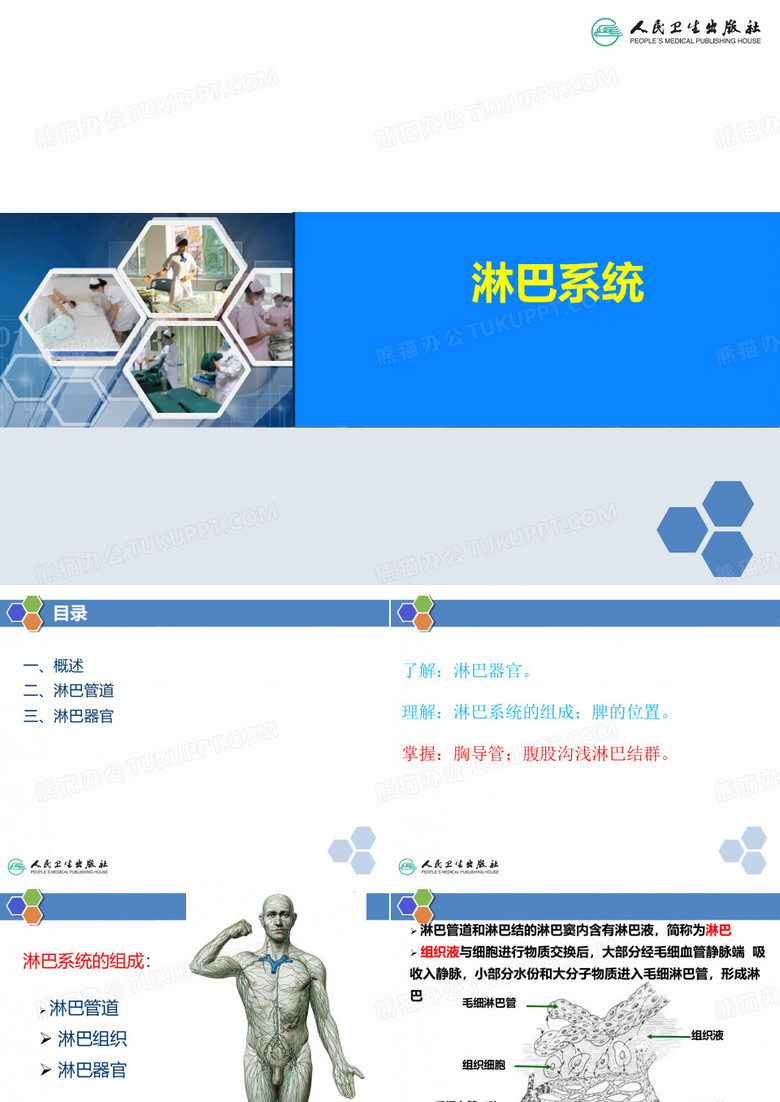 淋巴系统