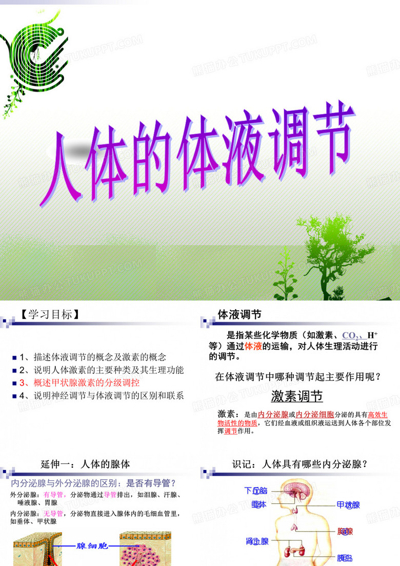 人体 的体液调节