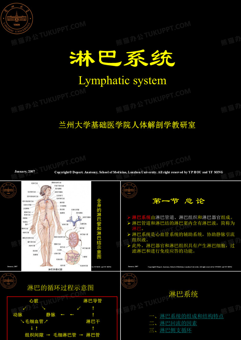 淋巴系统