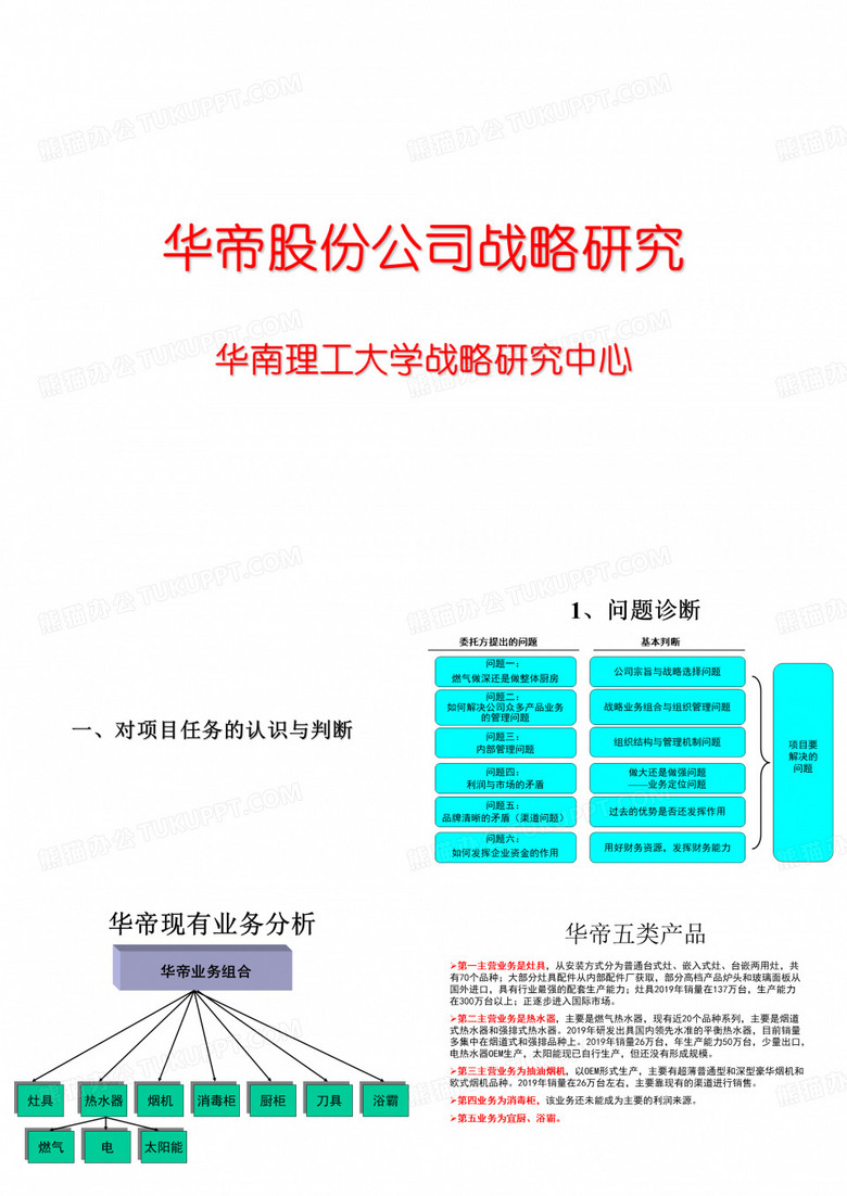 华帝股份公司战略研究