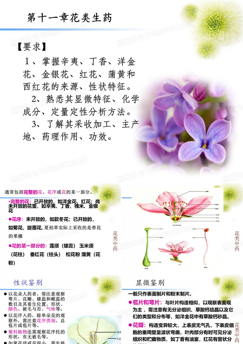 生药学  第8章花类生药
