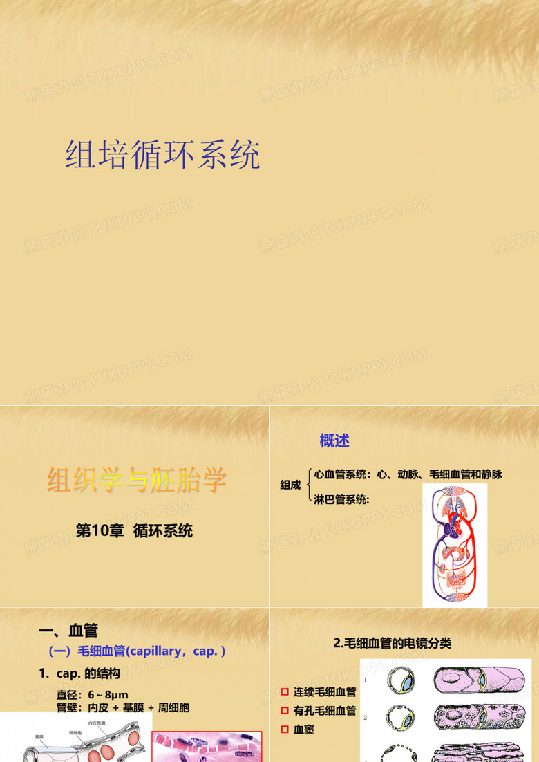 组培循环系统