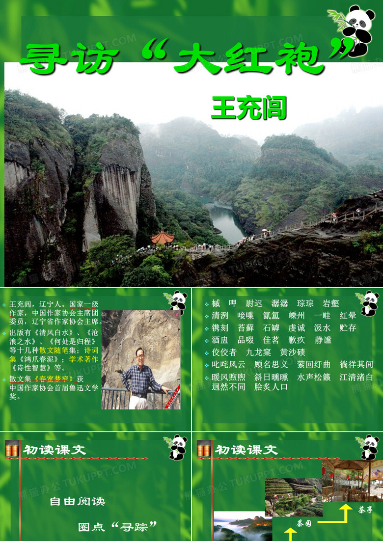 《寻访“大红袍”》
