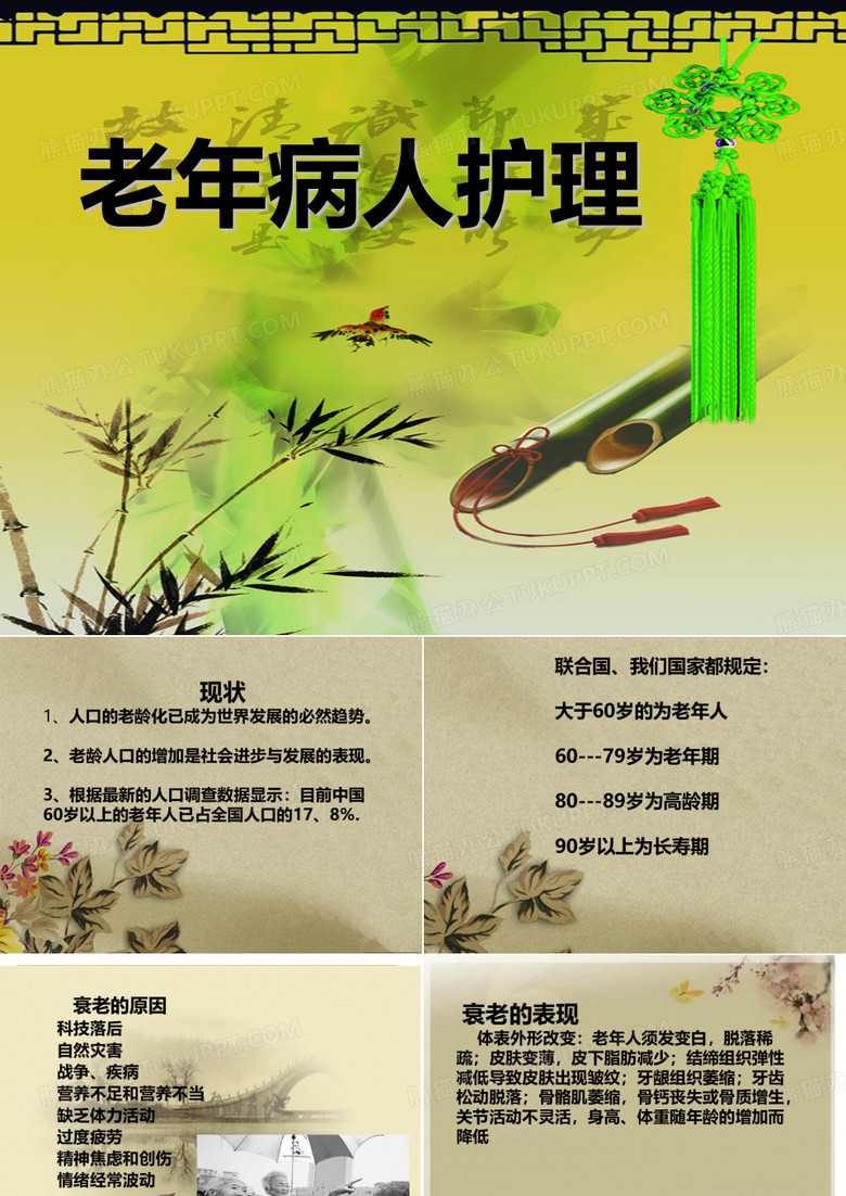 老年病护理