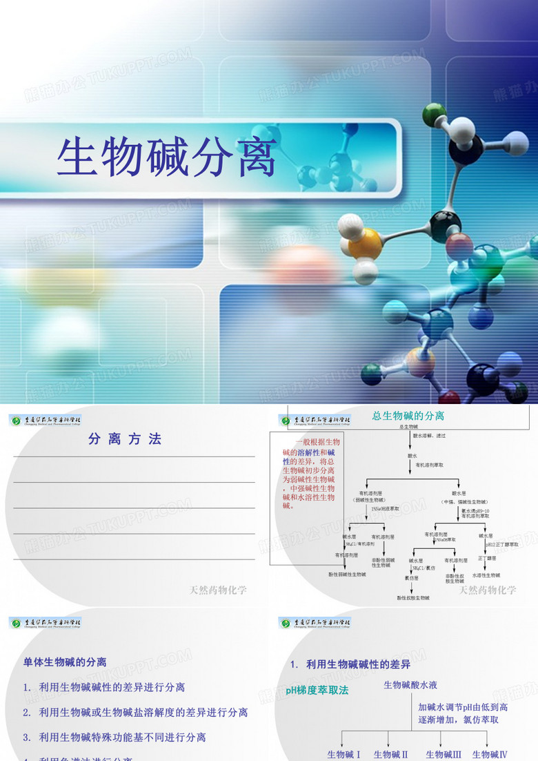 生物碱分离