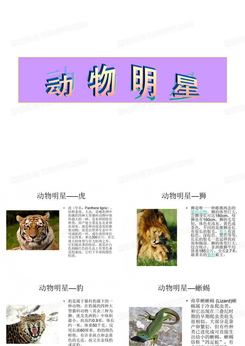 动物明星ppt教案课件.ppt