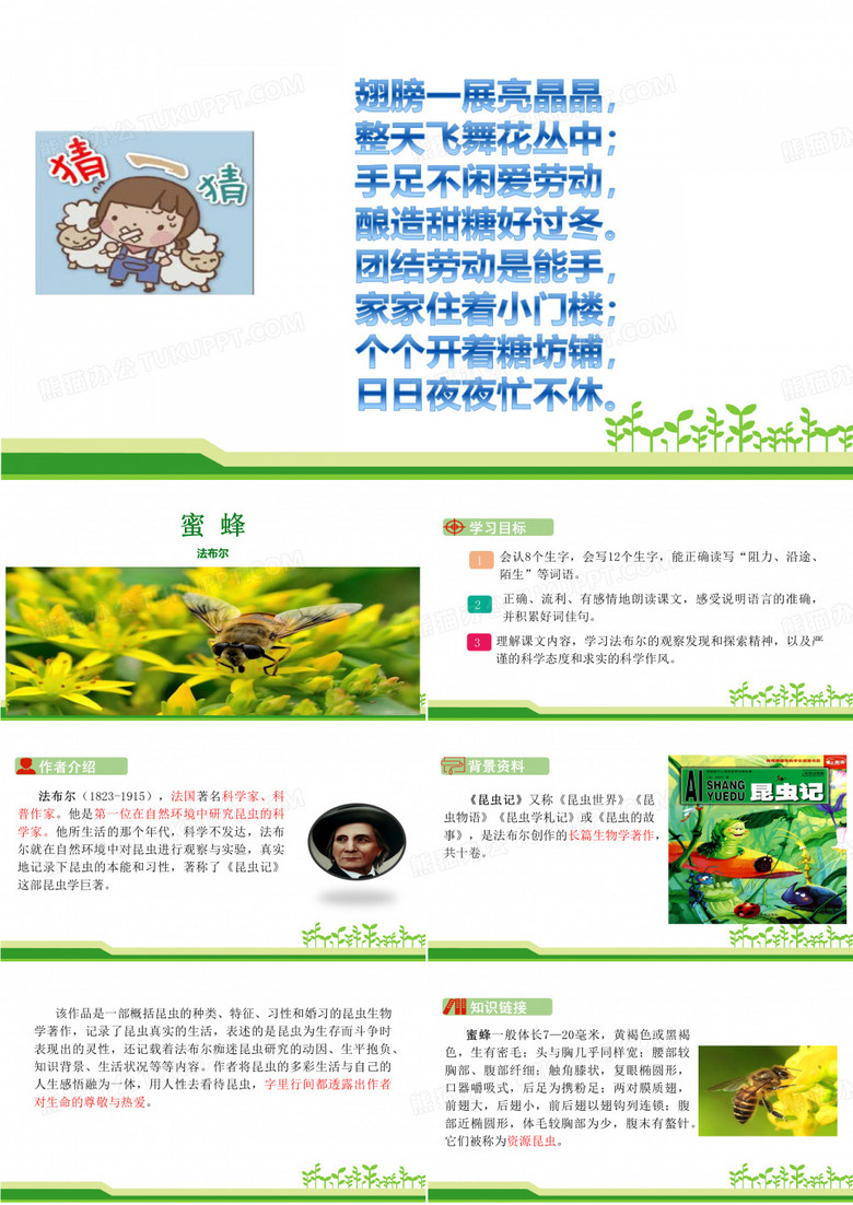 14 蜜蜂