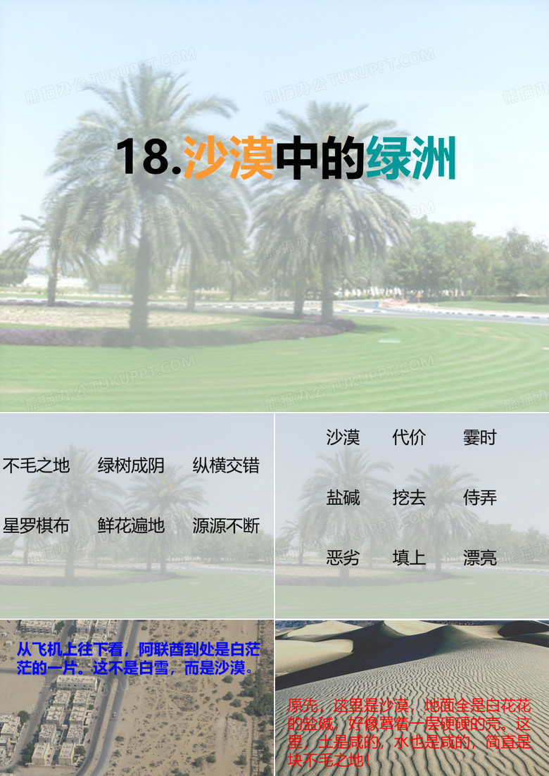 沙漠中的绿洲3