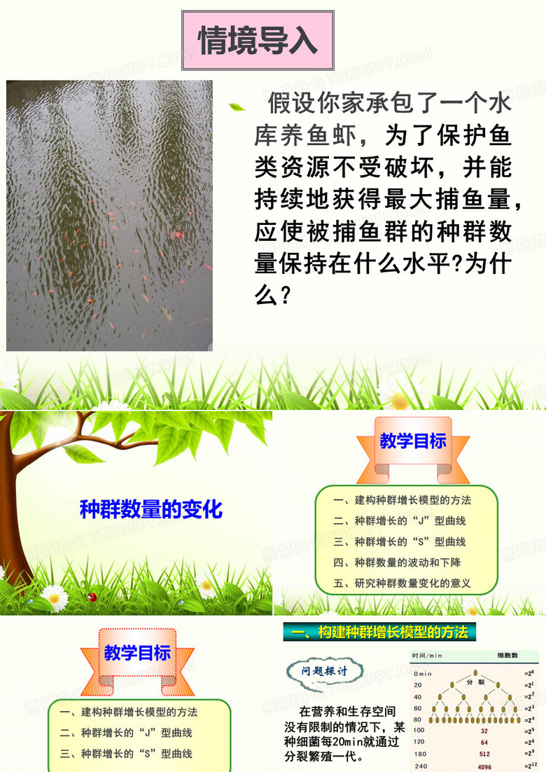 种群数量的变化