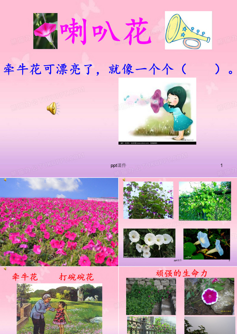二下-37喇叭花  ppt课件