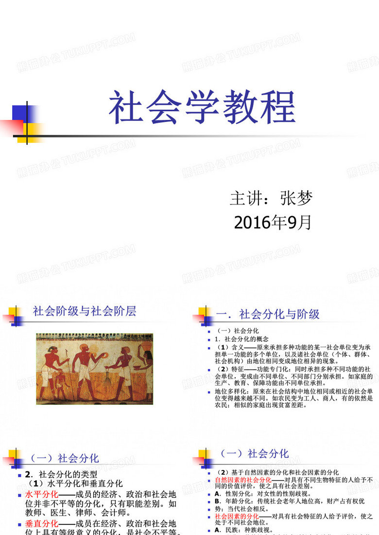 社会分层